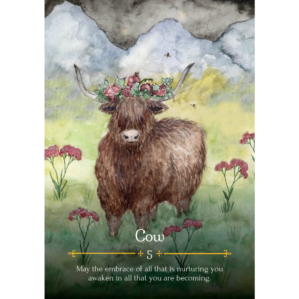 11*6.5cm Season of Witch Oracl - đánh giá và giá Tarot Deck With Guidebook