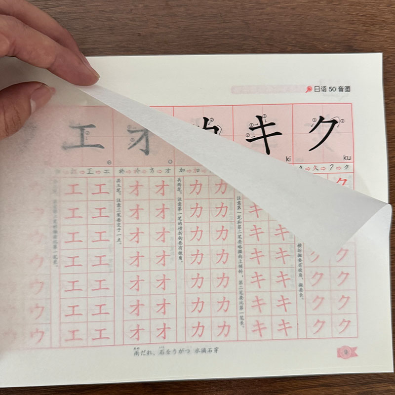 Zero Beginner Japanese Hiragan - đánh giá và giá Chinese Calligraphy Practice Book